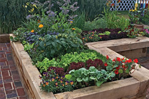 Raised flower beds help make a garden accessible
