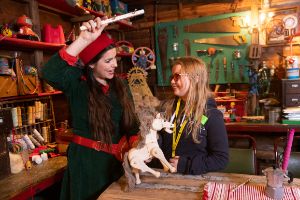 girl with vision impairment at accessible guide dog christmas grotto