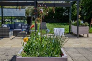 The new sensory garden for learning-disabled adults