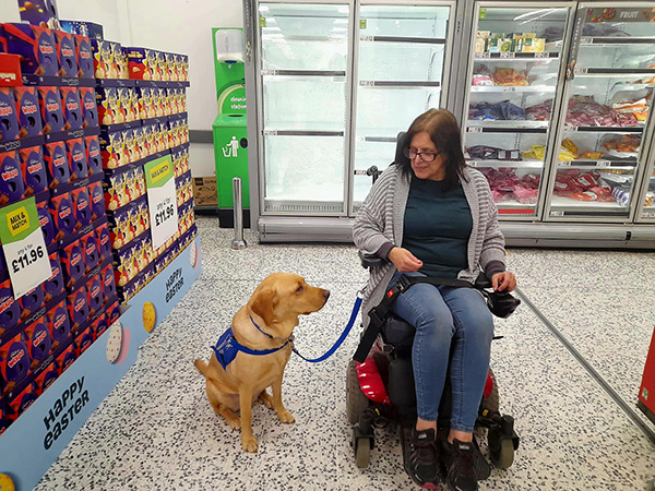 A fantastic partnership for Fox and hound – a support dog
